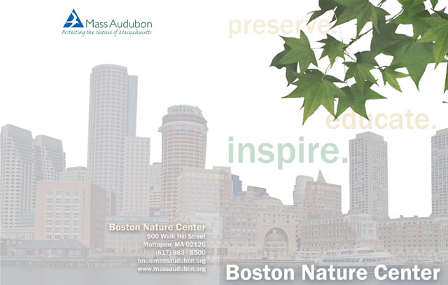 Hawkwood-trailer-leaves-400w