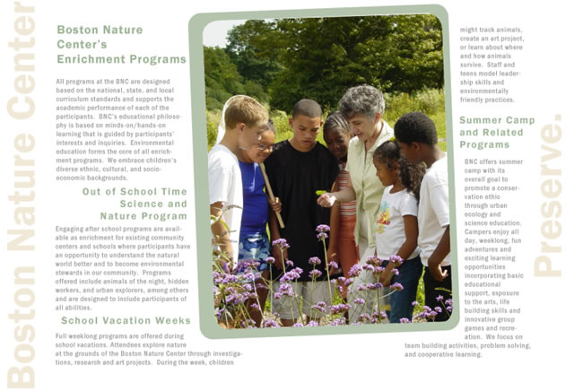 Hawkwood-trailer-leaves-400w